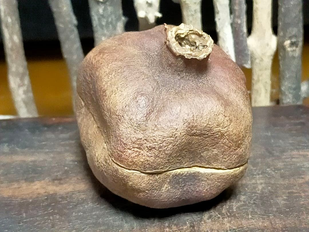 ♥武夫　柘榴　香合　共箱付き　ザクロ　水月窯　荒川豊蔵　骨董　古玩