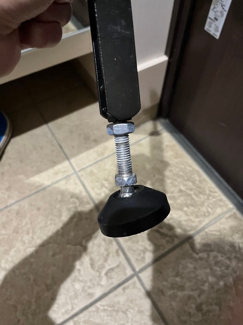 ラパイドネオ l