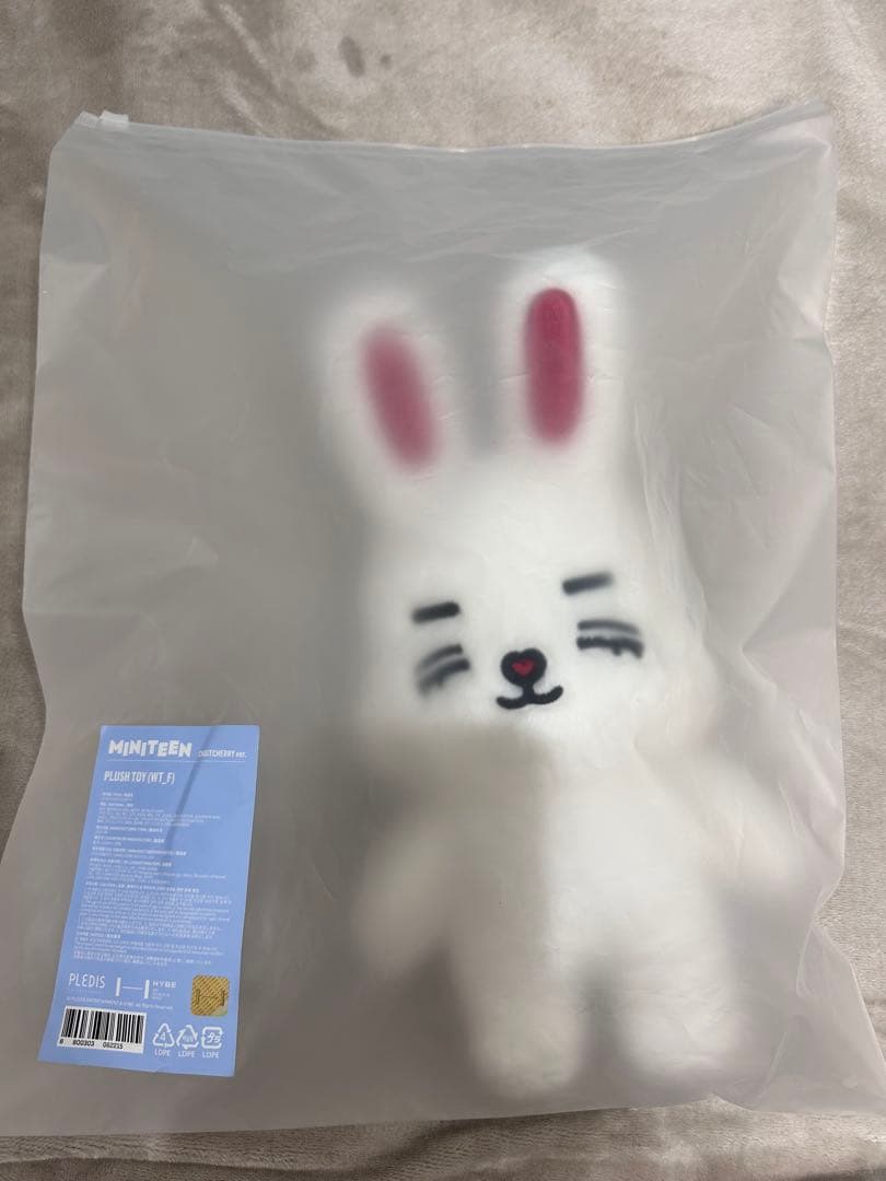 seventeen ミニティーン　エスクプス