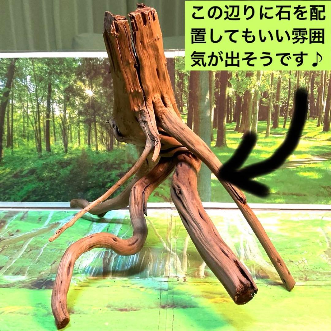 tomiy様 リクエスト 3点 まとめ商品