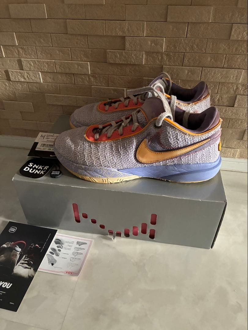 NIKE レブロン20 26.5cm