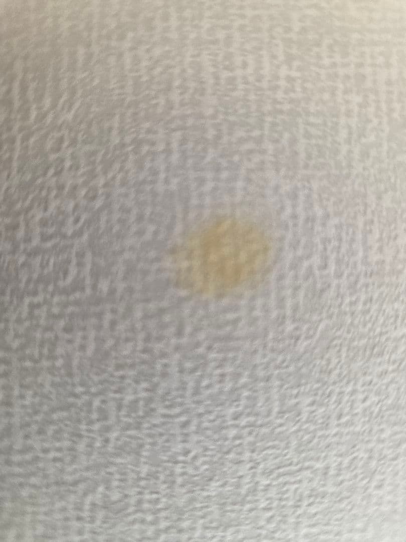 香蘭社 ルリ桜 銘々皿 4枚セット