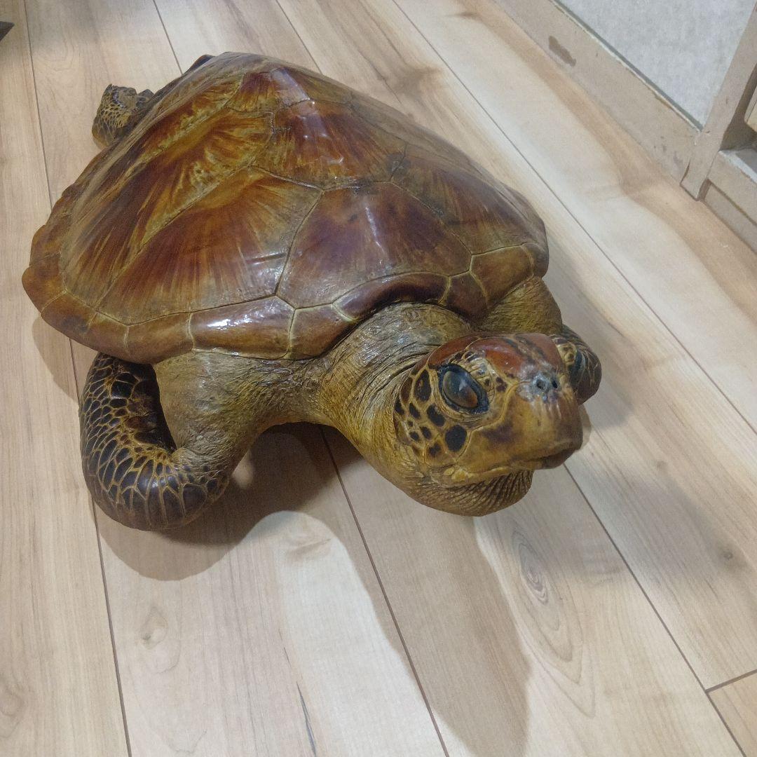 リアルな亀の置物 約60cm