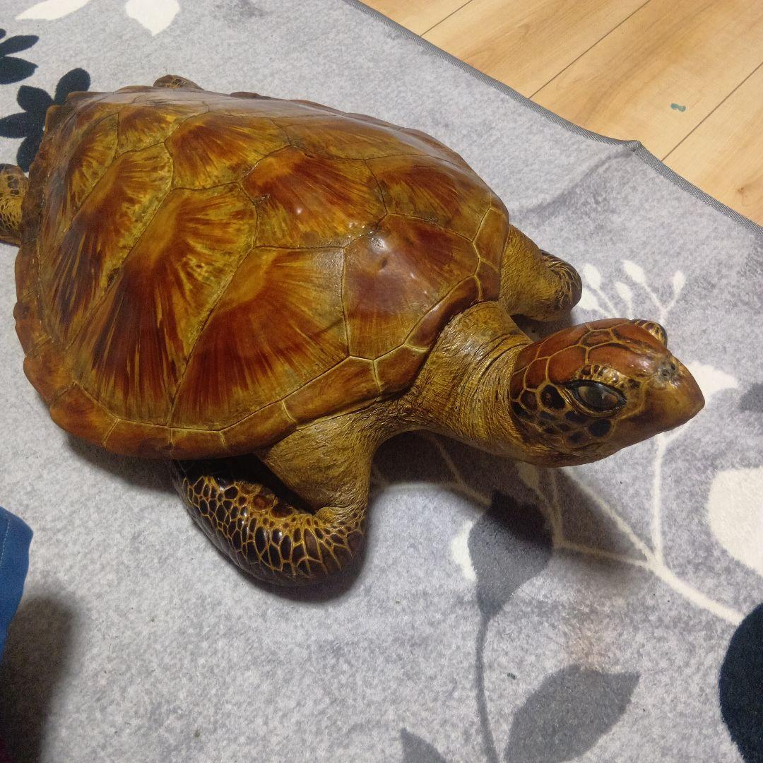 リアルな亀の置物 約60cm