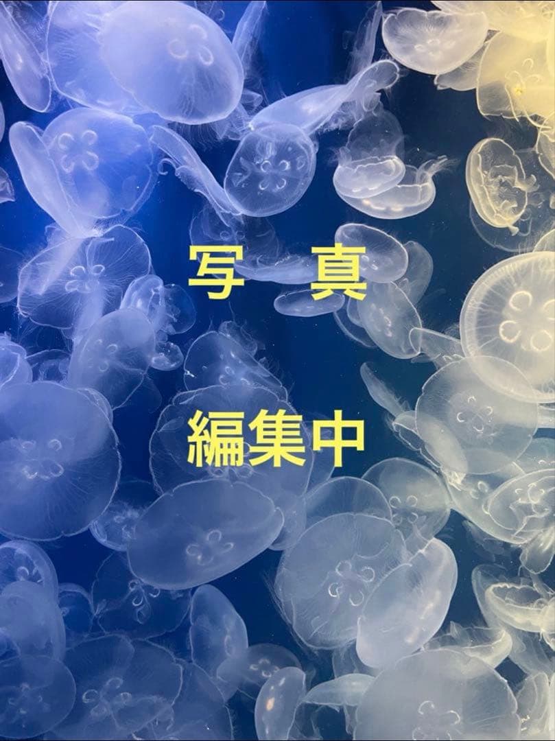 だんらん　両手鍋