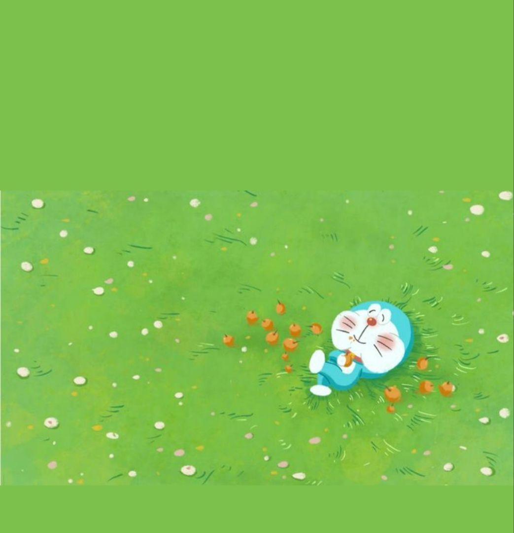 専用★6本　y ライン変更可