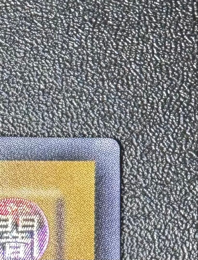 真紅眼の黒竜/レッドアイズブラックドラゴン/ ドラゴン族/遊戯王カード/レリーフ