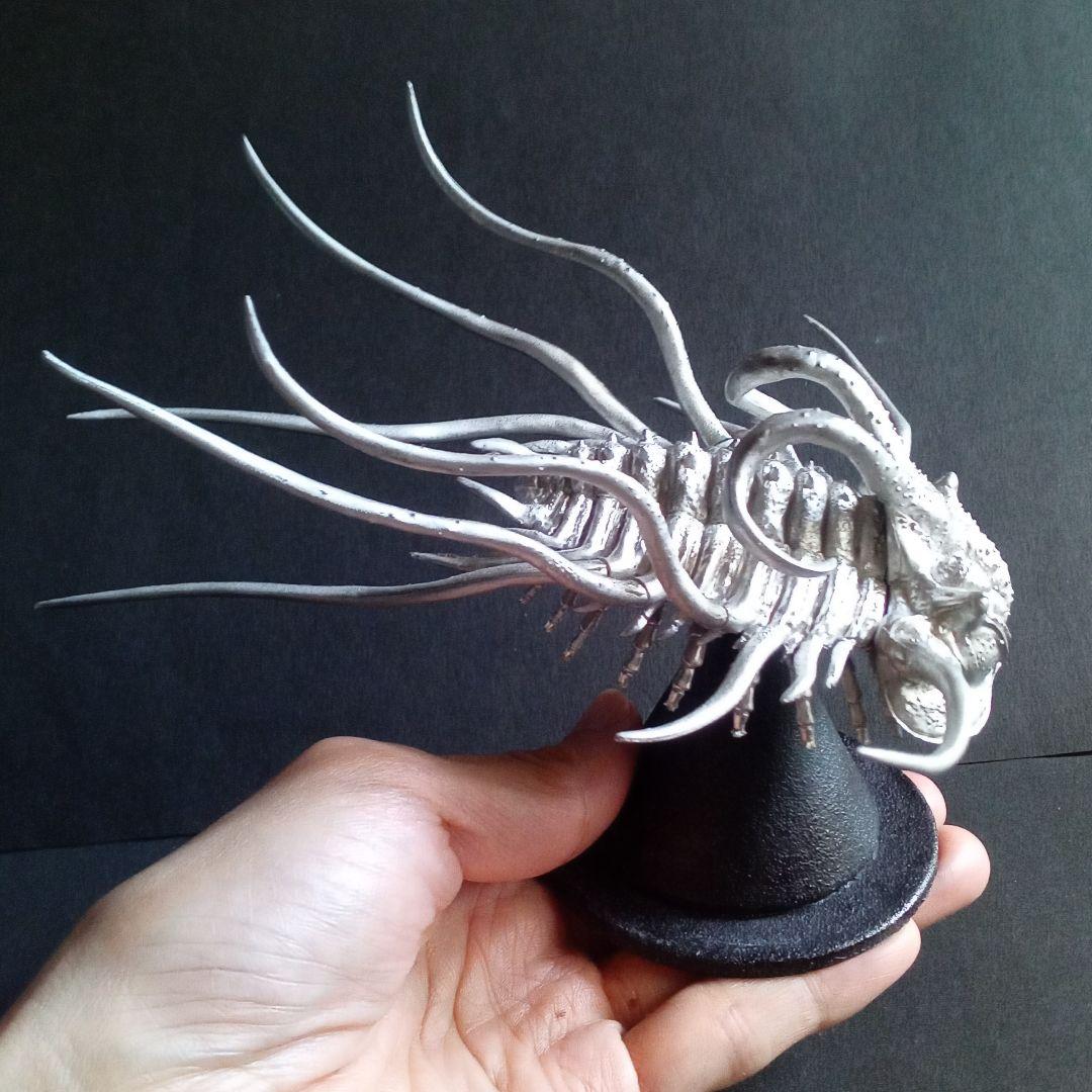 ディクラヌルス　モンストローサス