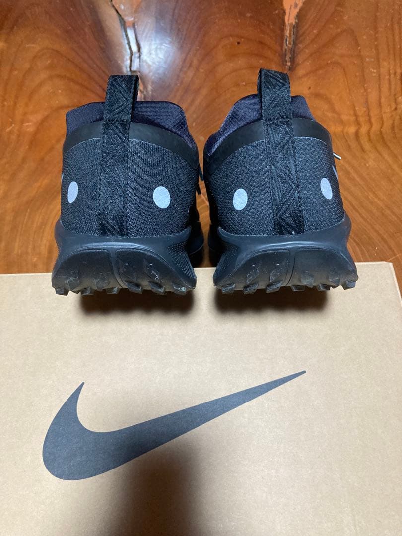 NIKE ペガサストレイル5 GTX 28㎝　US10 ゴアテックス