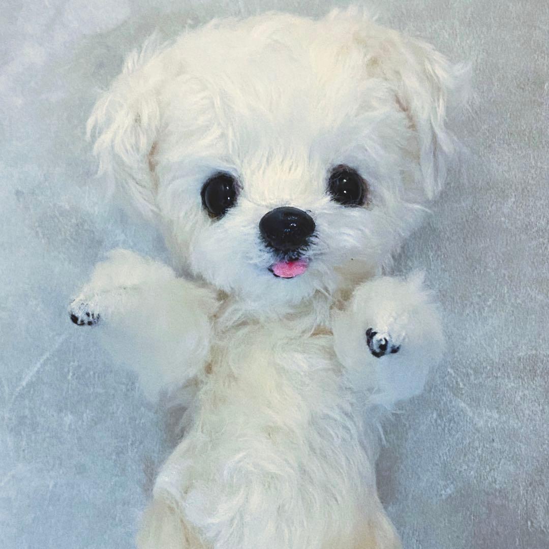 作家さま　ふわふわマルチーズのぬいぐるみ　テディベア　ハンドメイド