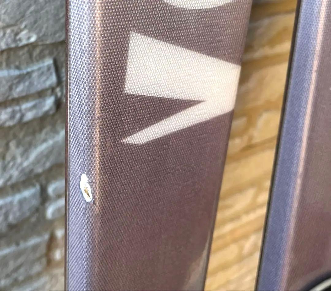 SALOMON ビンディング付きスキー板 160 LEKIポール 105 女性用