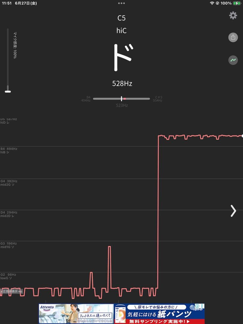 No17 チベット産 シンギングボウル 新品 チベタンボウル 21.5cmＡＵＭ