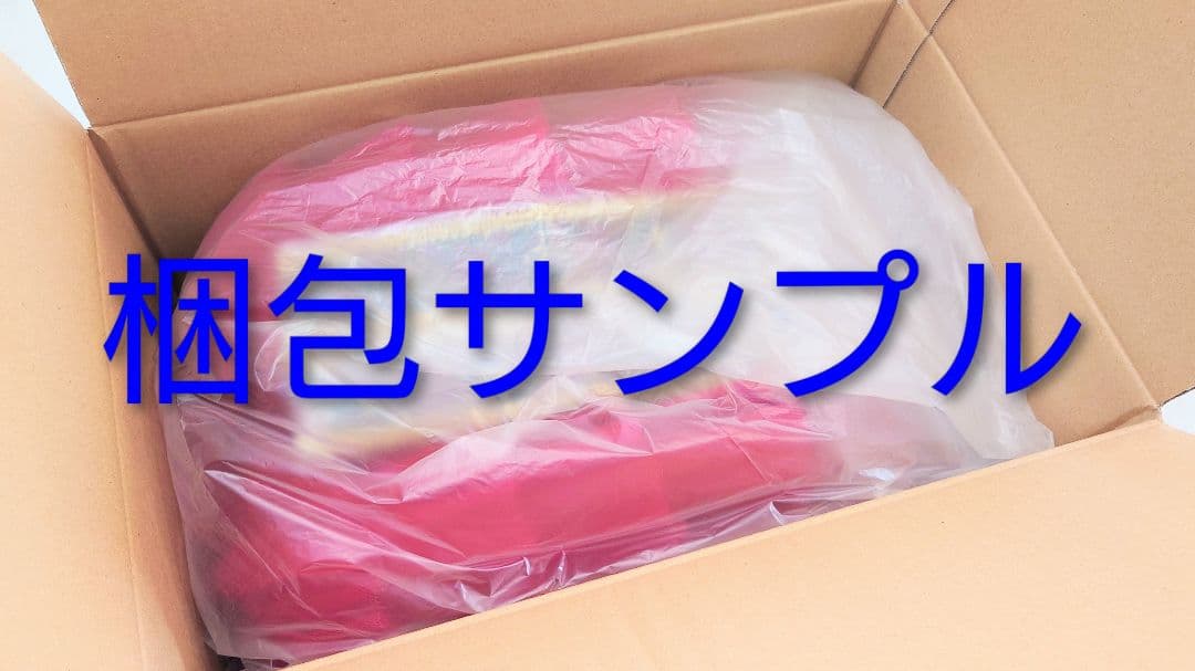 【フロリナ、シルヴィア】 チャコット・バレエ衣裳 袖飾り付き・美品 ６号サイズ