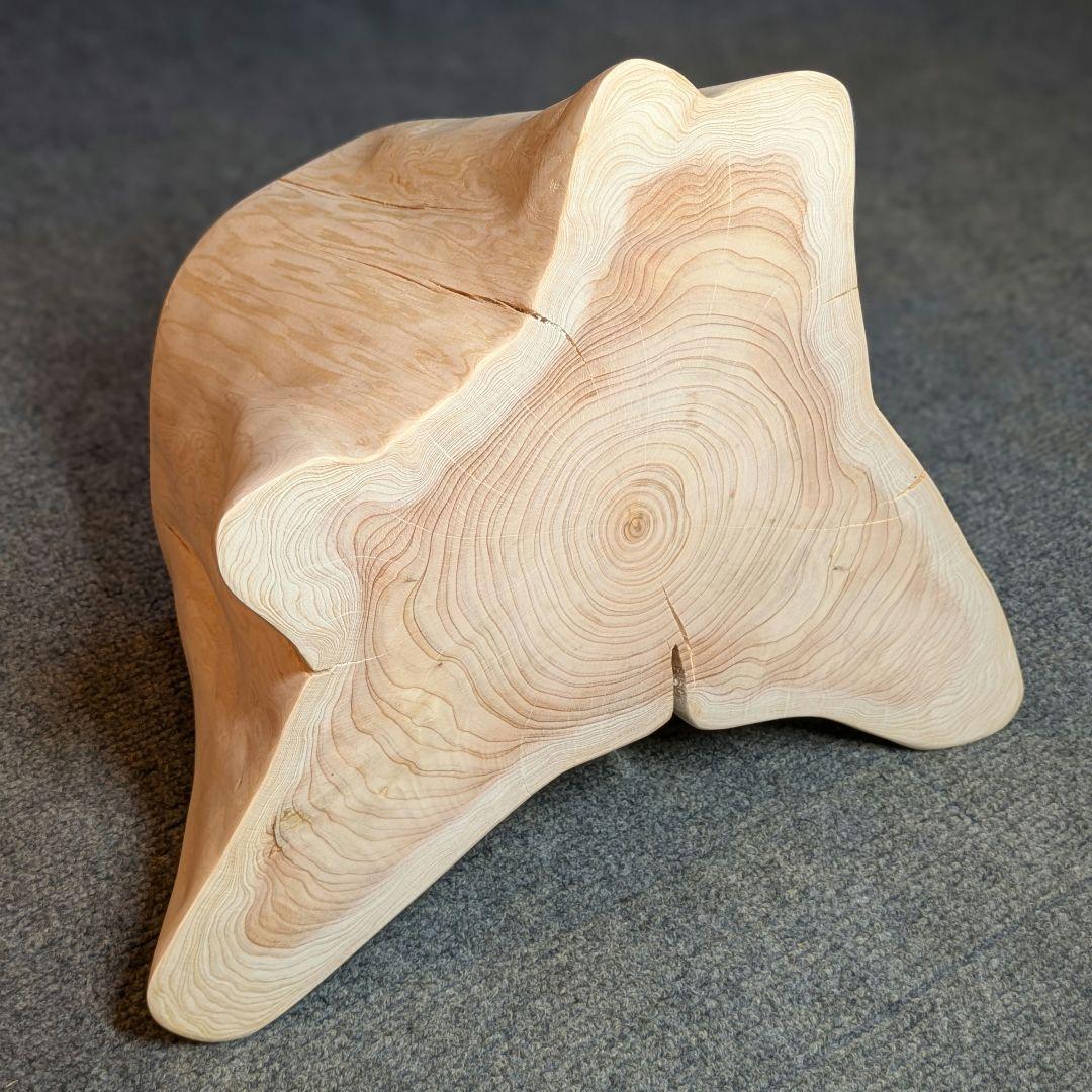 檜　切り株　高さ約19.5㎝