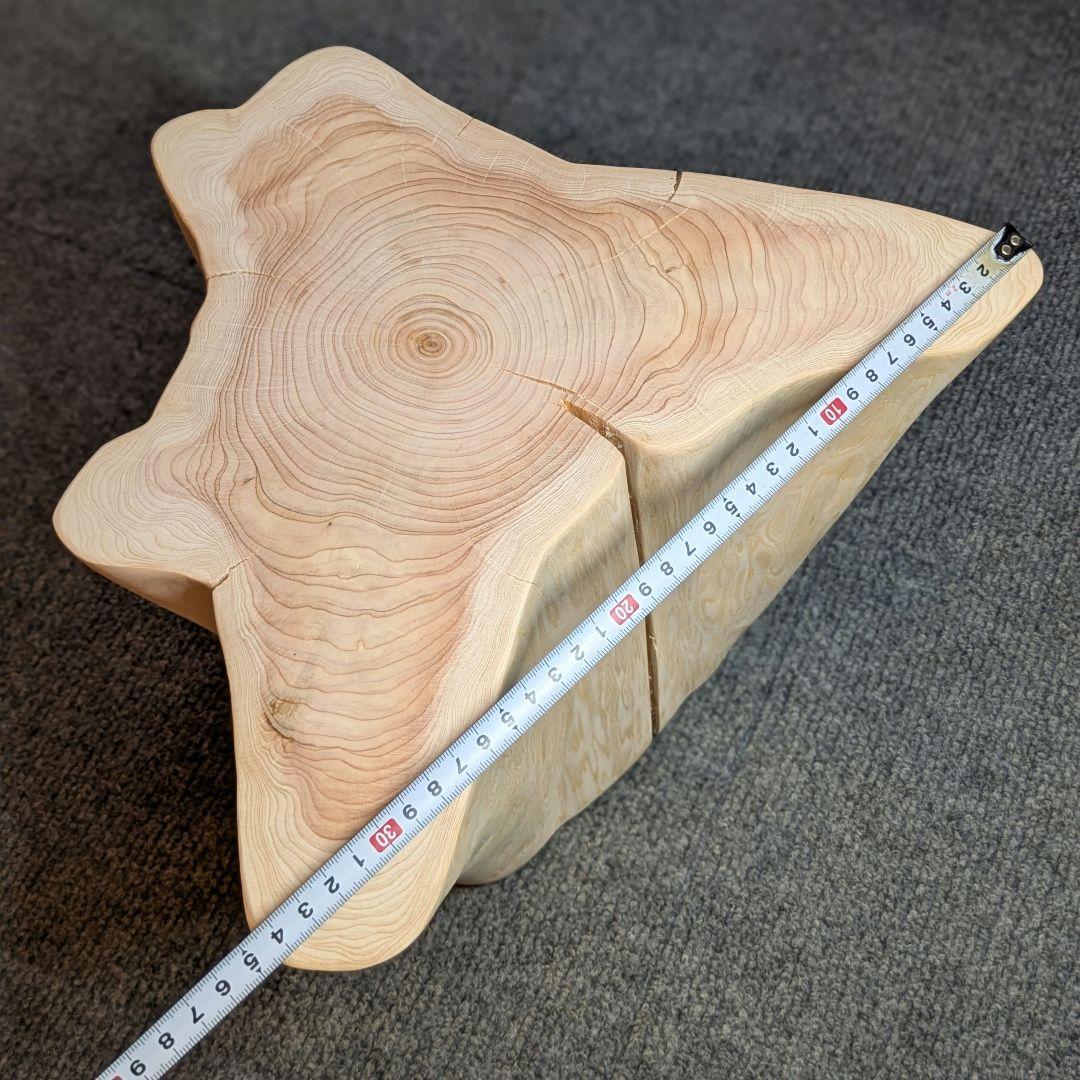 檜　切り株　高さ約19.5㎝