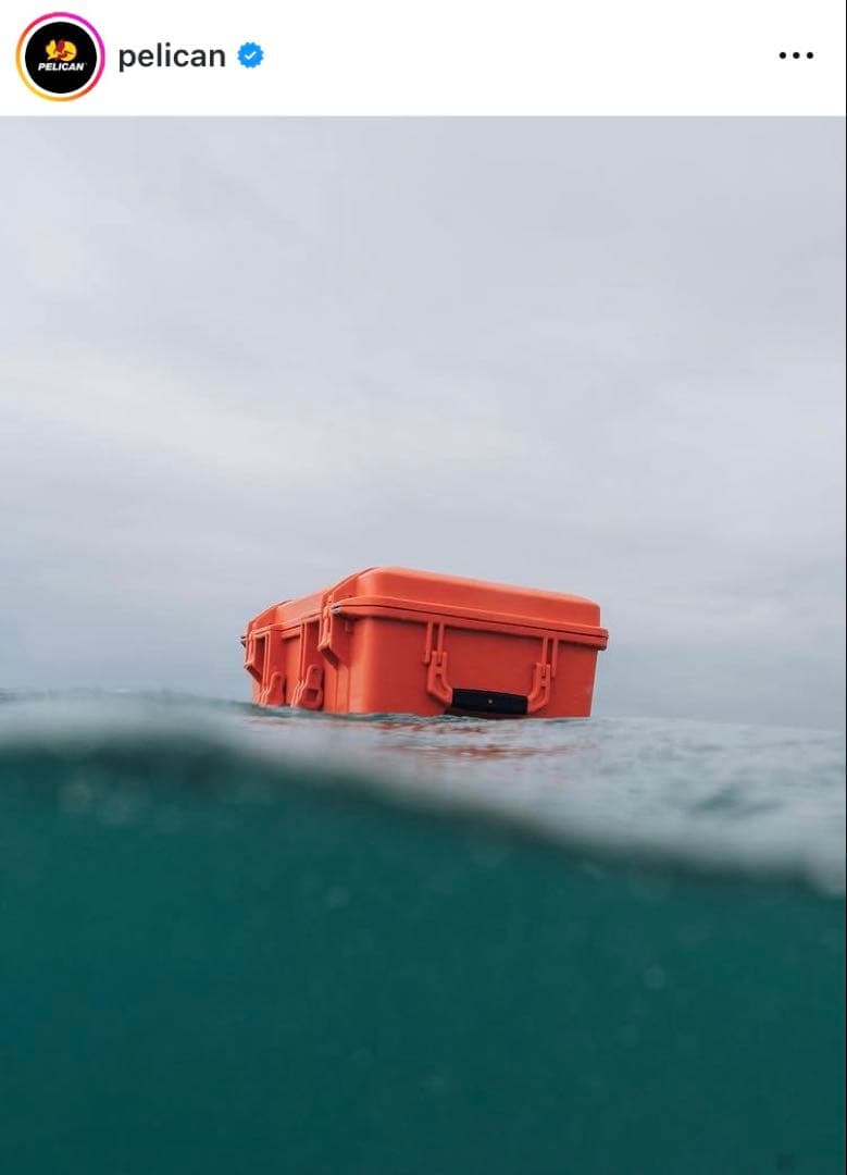 【PELICAN】 1600 PROTECTOR CASE / ORANGE