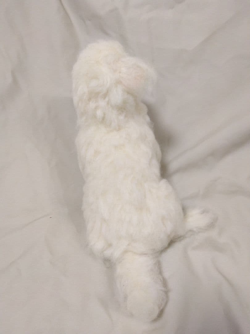 羊毛フェルトオーダー　たーさん