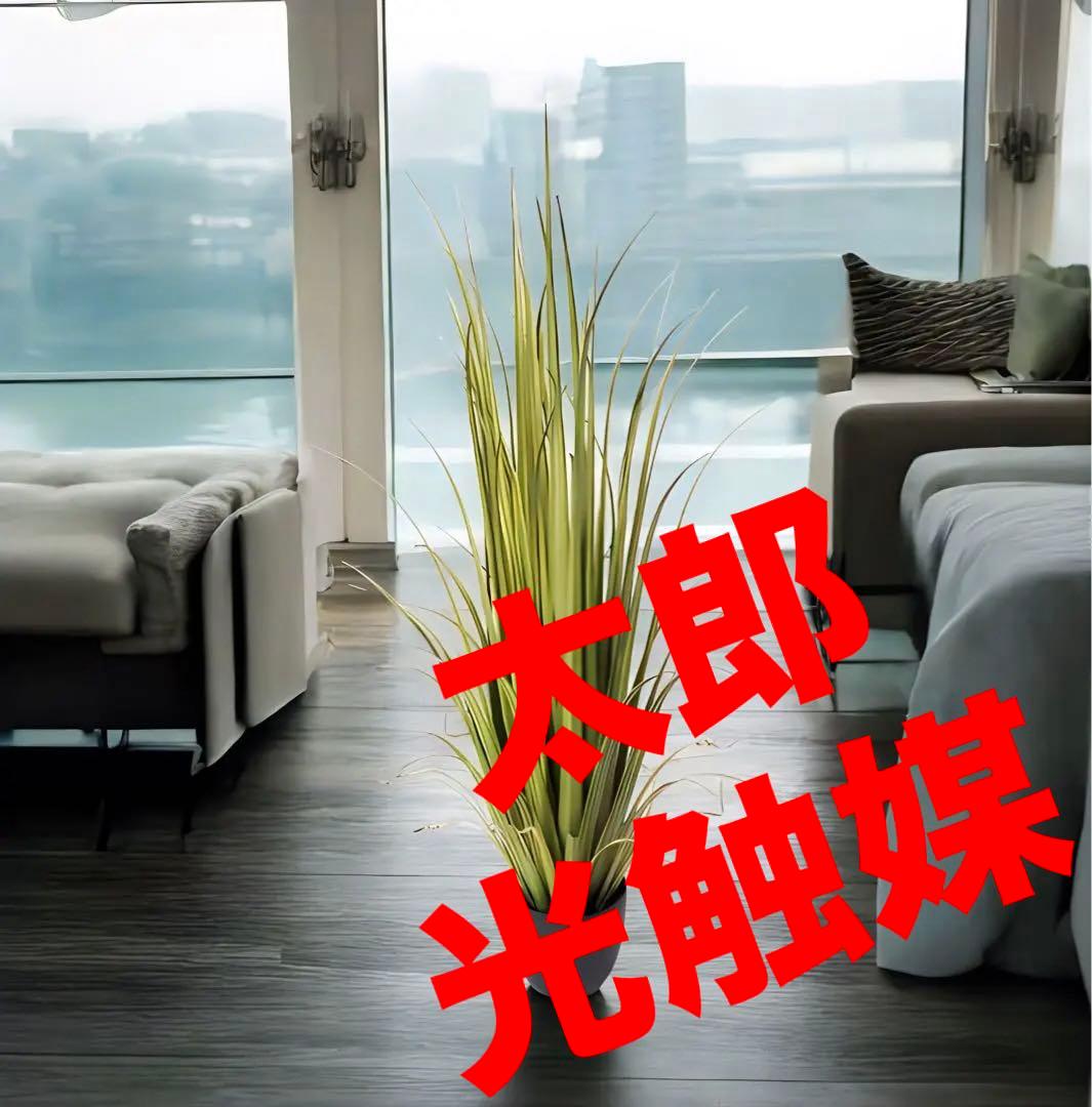 光触媒　人工観葉植物　ウォールグリーン　フェイクグリーン　バラルグラス14071