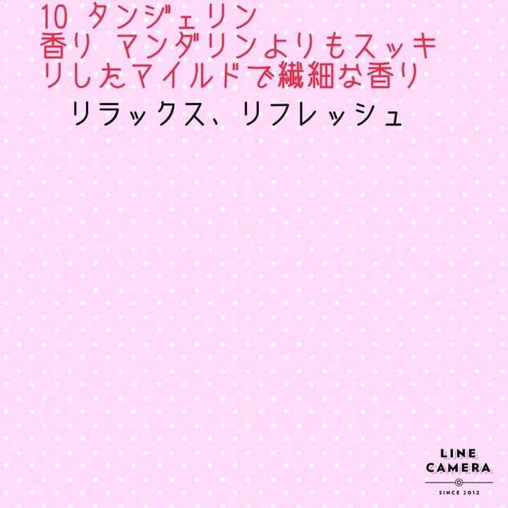 お洒落ベアー♪アロマストーン○♪.°