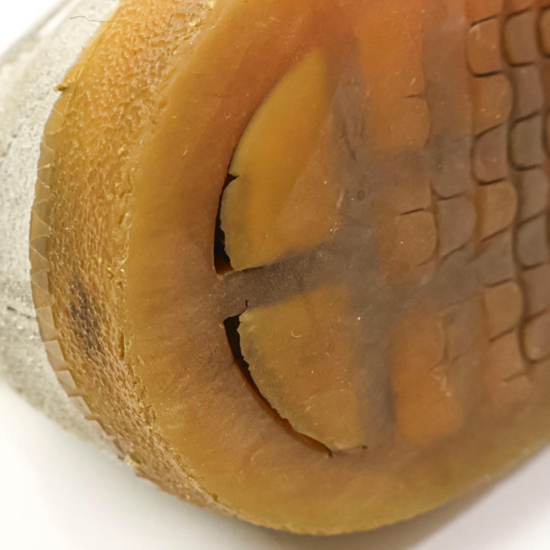 H5344-b2◾️メゾンマルジェラ　ローカットスニーカー㉒