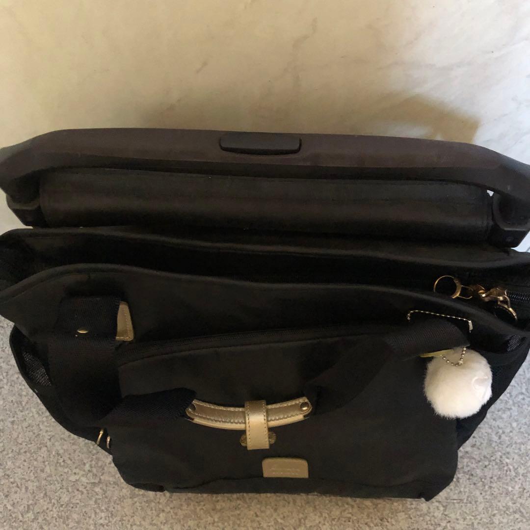 カナナプロジェクト キャリー