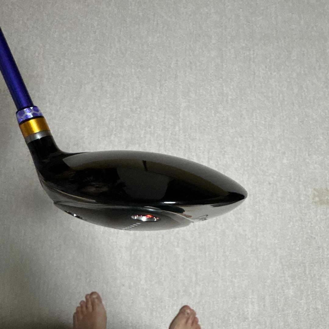 2024 RODDIO FW ３ｗ