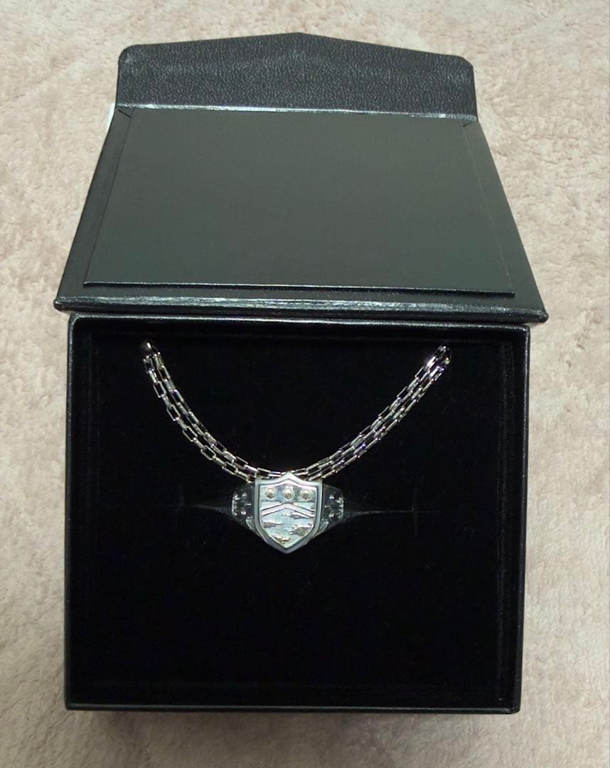 家庭教師ヒットマンREBORN! ボンゴレリング 霧のリング 25号