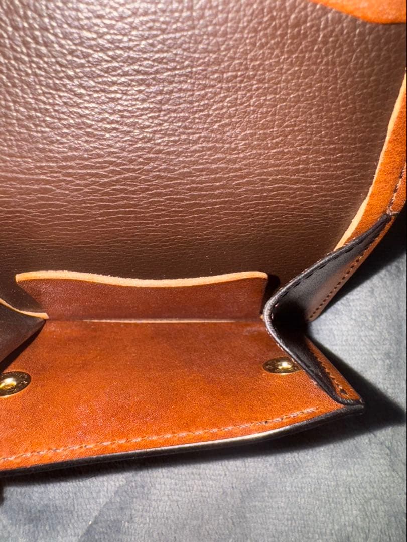 美品 ワイルドスワンズ サドルプルアップ タン ブラウン