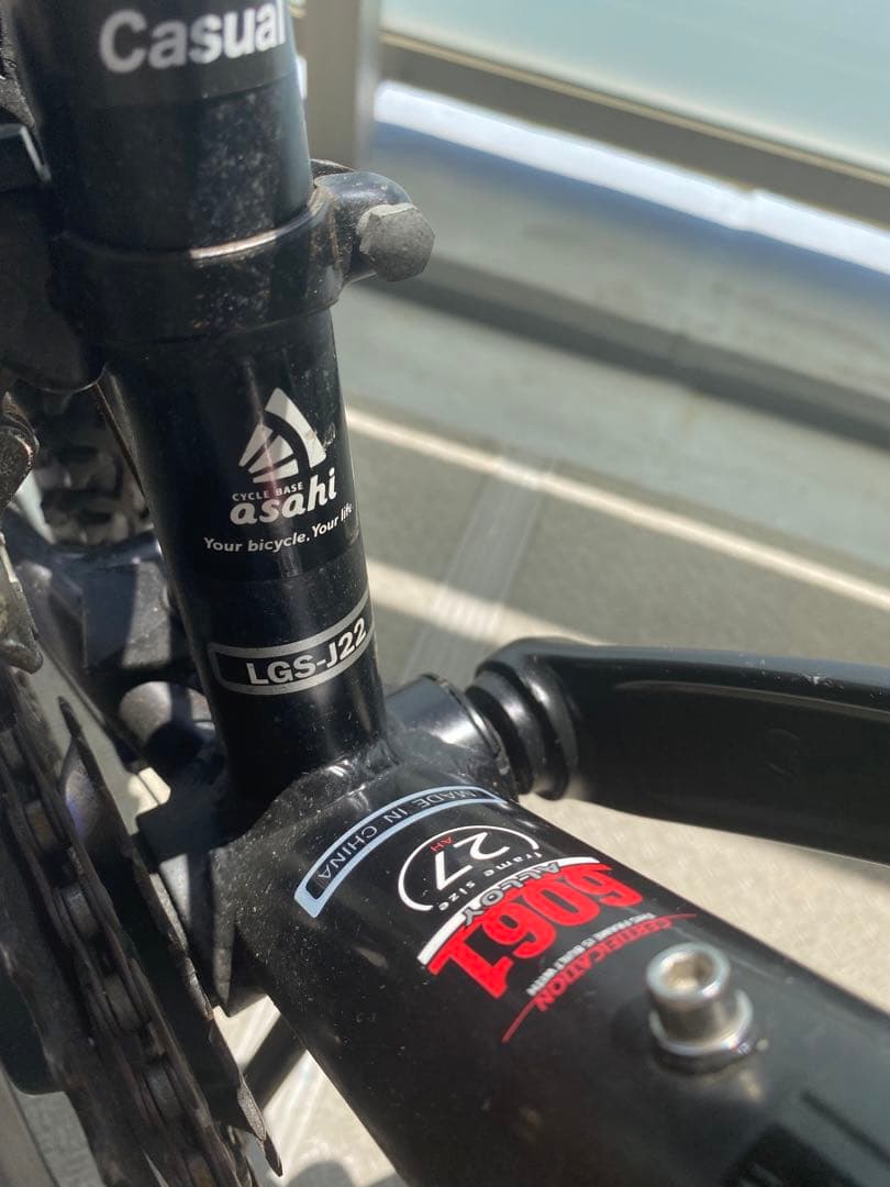 引取限定 LOUIS GARNEAU ルイガノ J22 子供用自転車