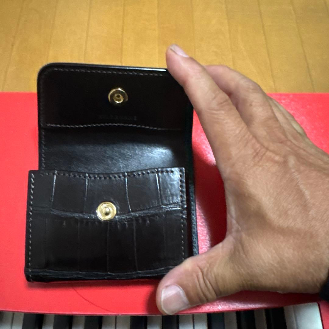 ワイルドスワンズ　　クロコ　アーサー