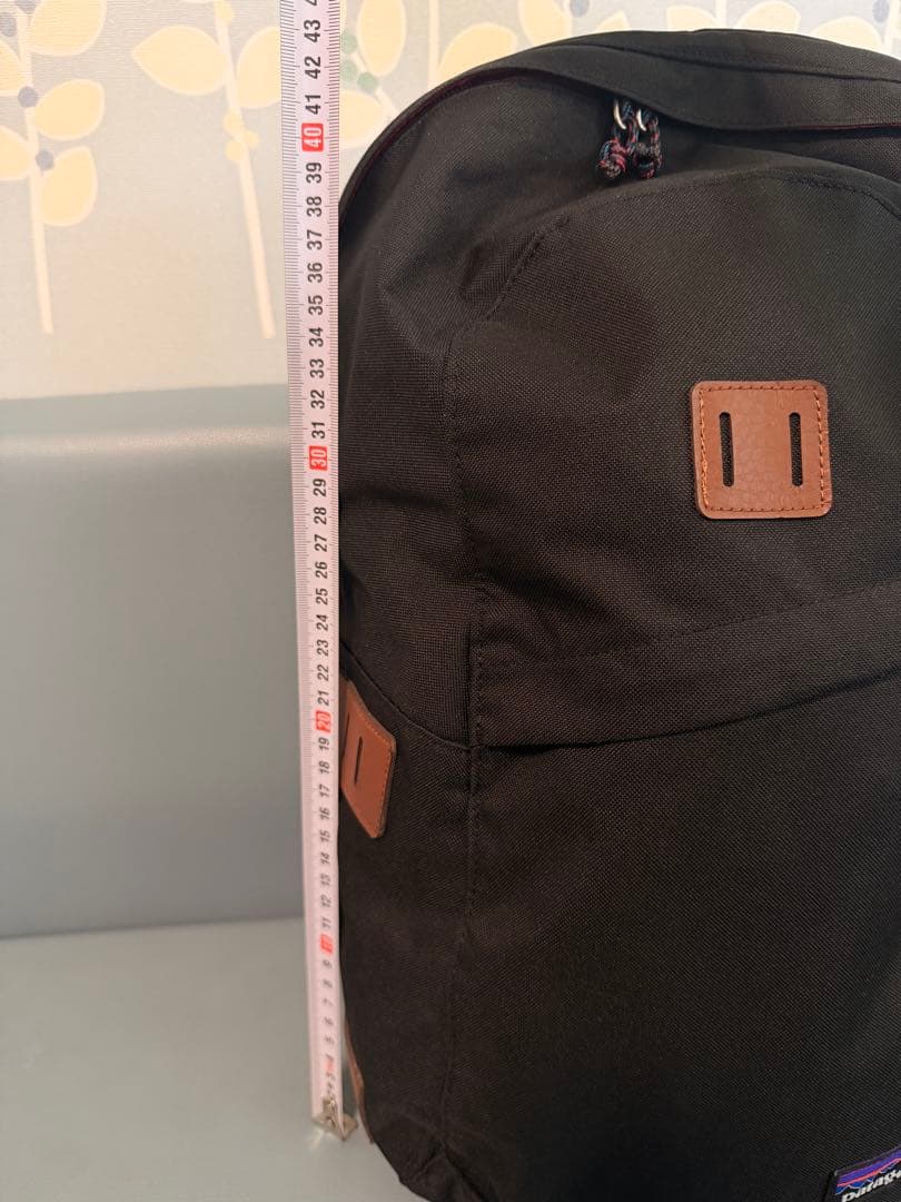 【極美品】パタゴニア アーバー・デイパックArbor Day Pack 20L