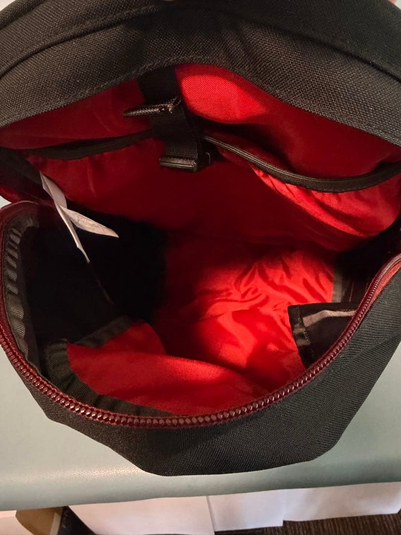 【極美品】パタゴニア アーバー・デイパックArbor Day Pack 20L