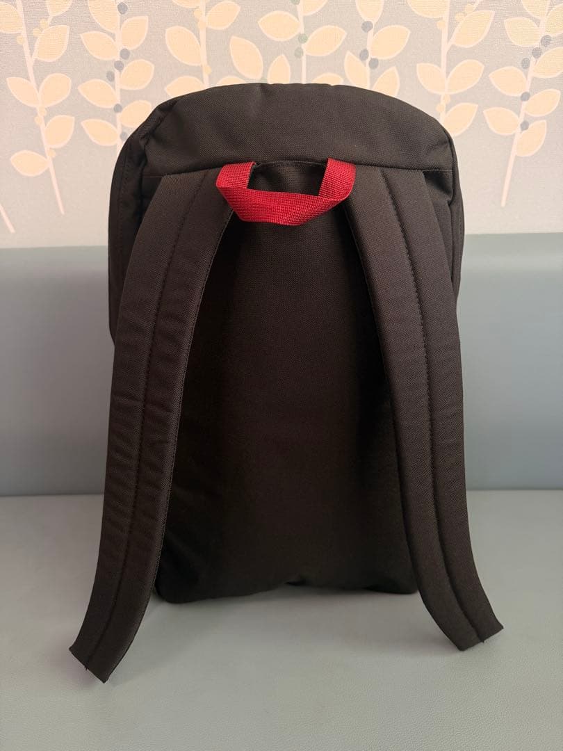 【極美品】パタゴニア アーバー・デイパックArbor Day Pack 20L