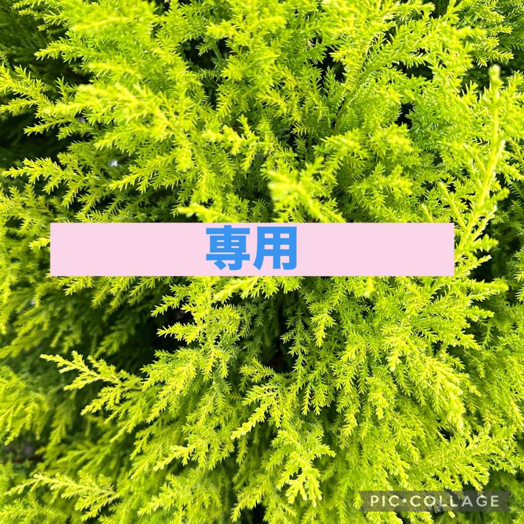 【専用】　木製玩具　パステルカラー　10点セット