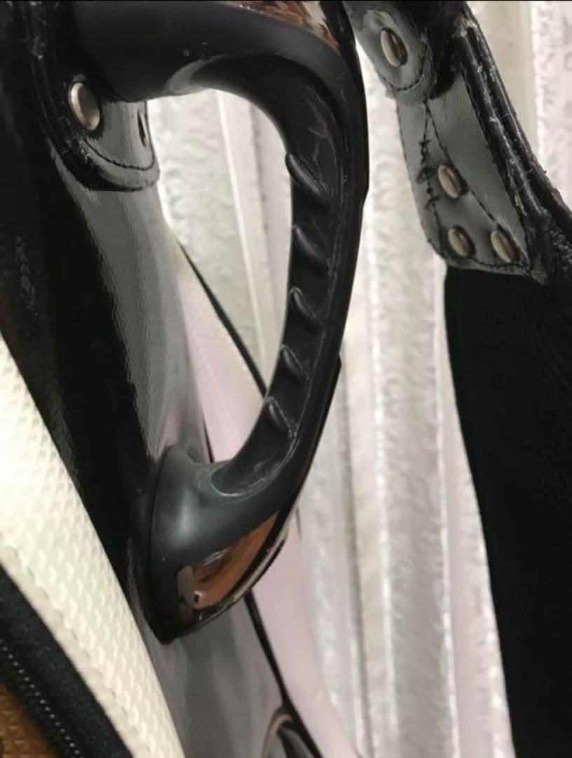 ☆希少・限定☆プロV1記念モデル☆　タイトリスト　キャディバッグ　 CB5V1