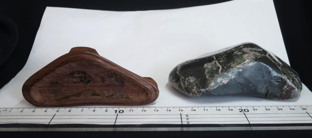 菊花石 　根尾菊花石 緑地に白花　鑑賞石　水石 盆栽