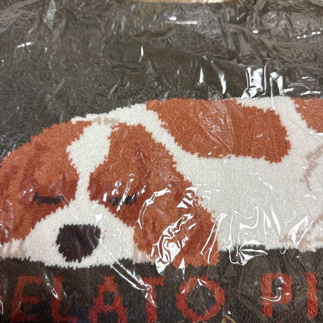 ジェラートピケ プルオーバー&チェックショートパンツ 上下セット キャバリア