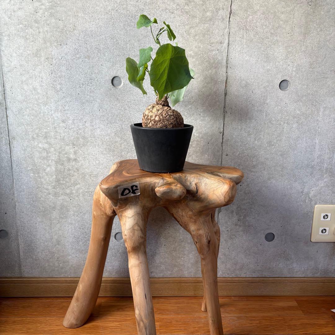 スツール 08⭐︎送料込み⭐︎