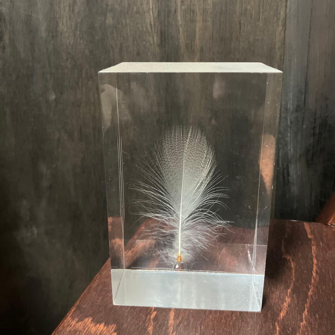 倉俣史朗 ShiroKURAMATA Floating Feather羽根の封印