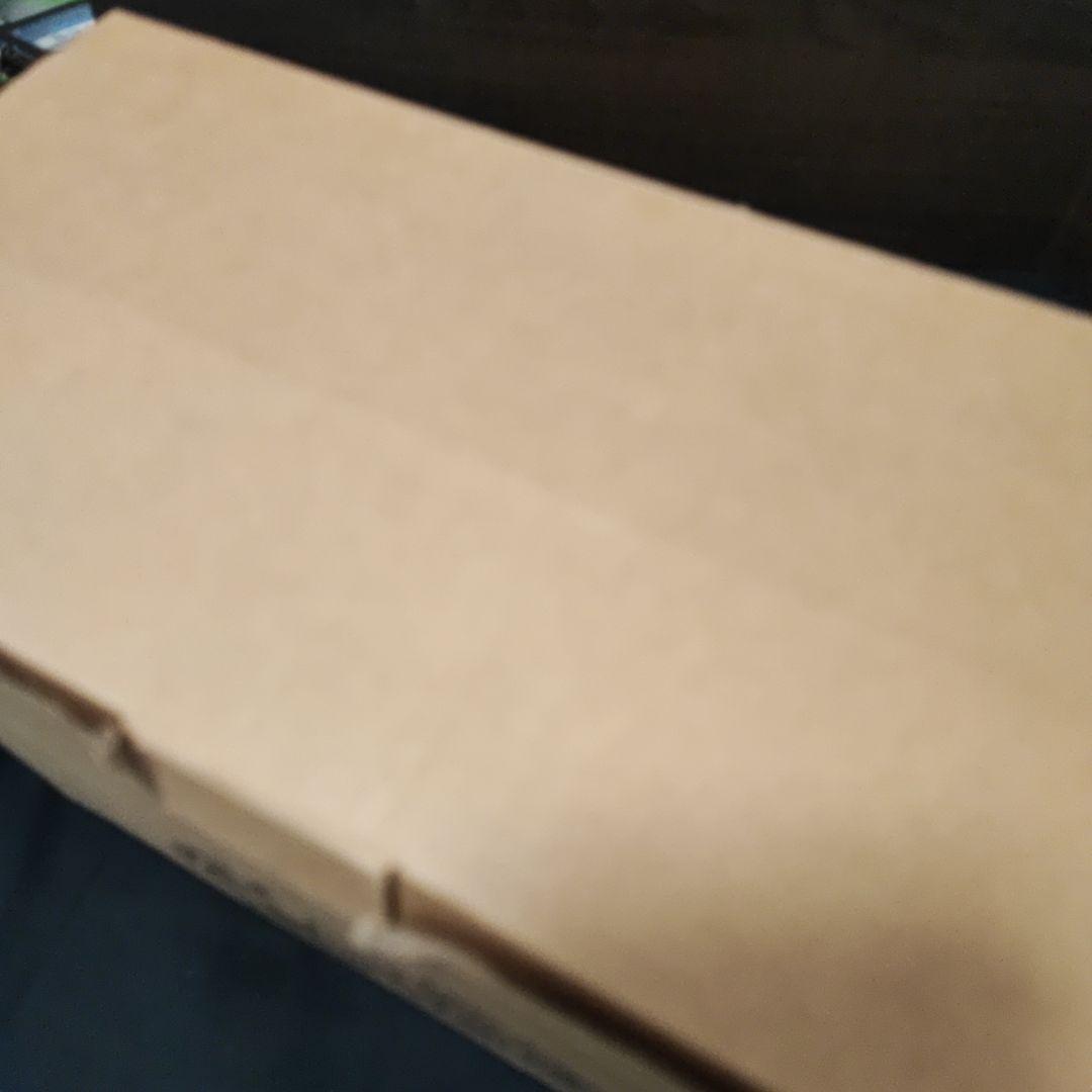 Guillermo Forchino ギラーモ・フォルチーノ MINI