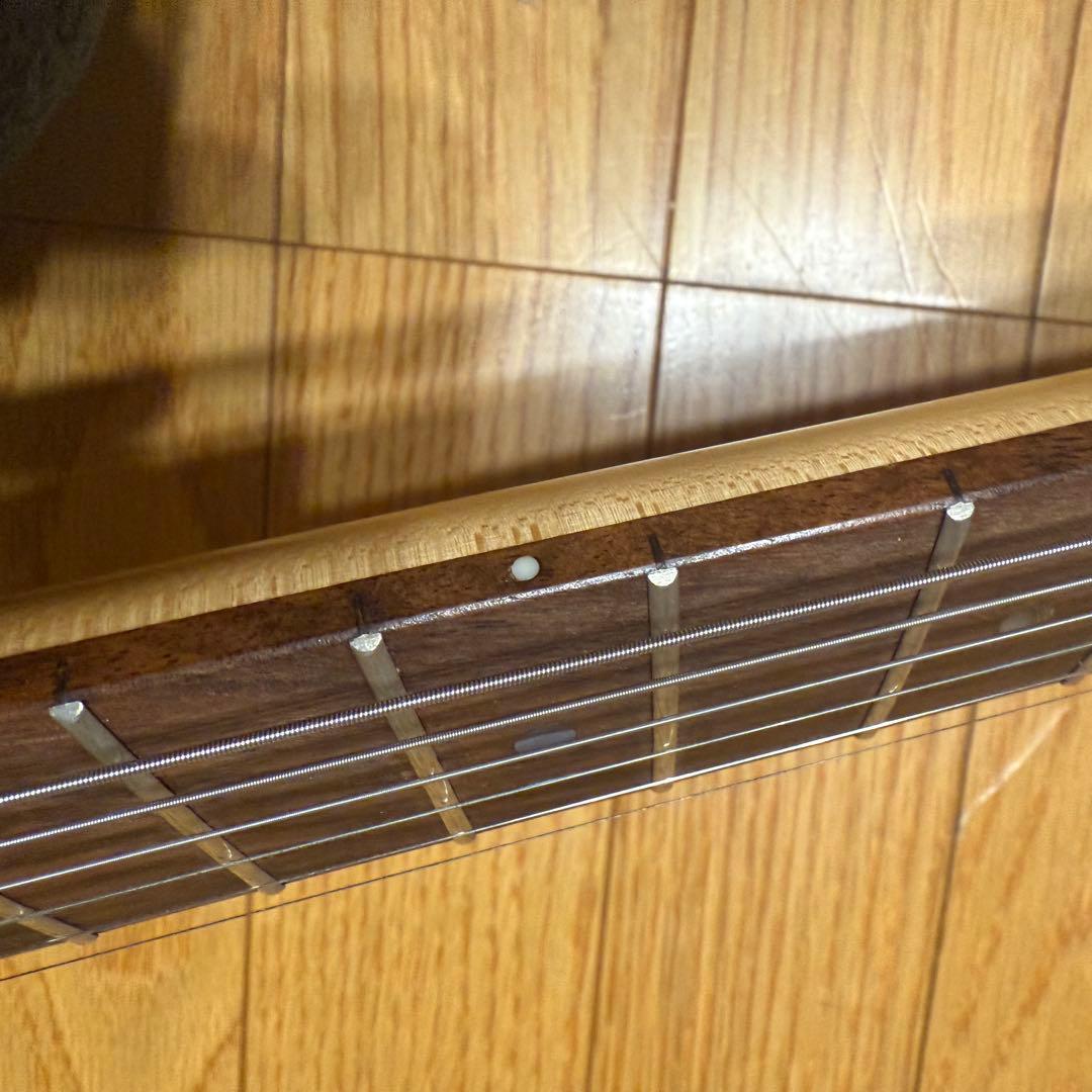 Bacchus / TACTICS バッカス テレキャスター