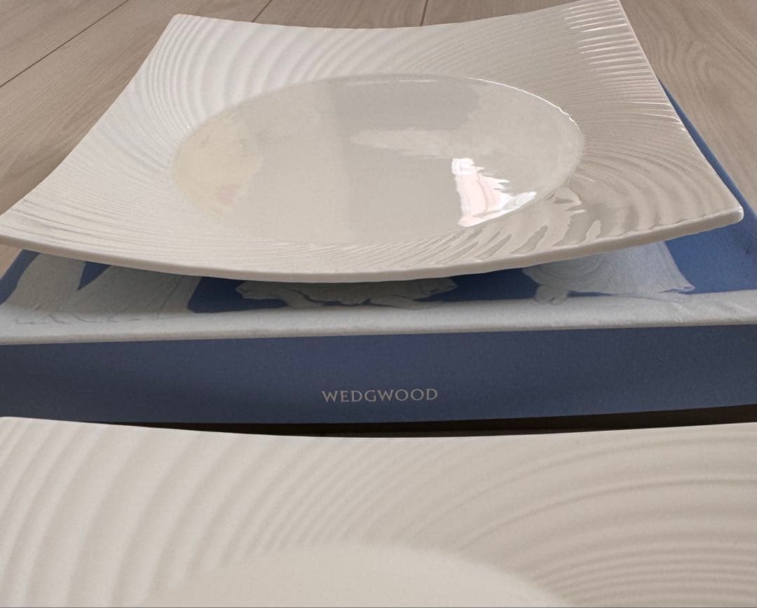 【新品未使用】 エスリアルプレート　2枚セット　希少