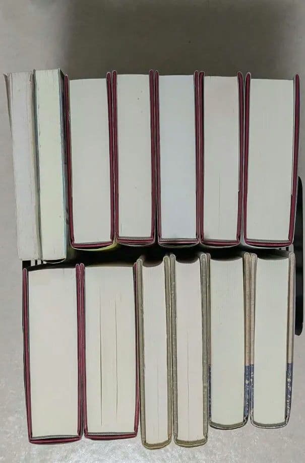 トマス・ピンチョン　V.　重力の虹　ヴァインランド　メイスン&ディクスン　逆光