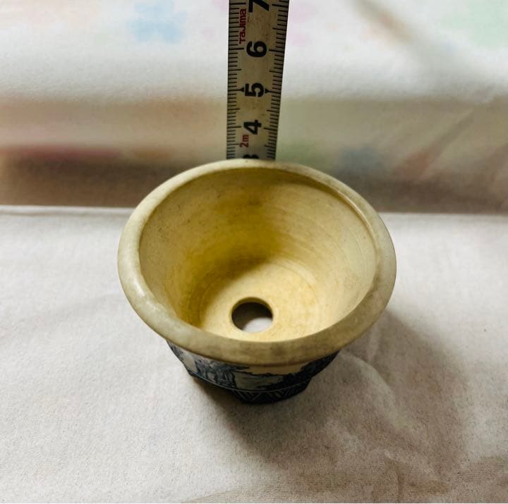 「大助」一押し最高作品❗️