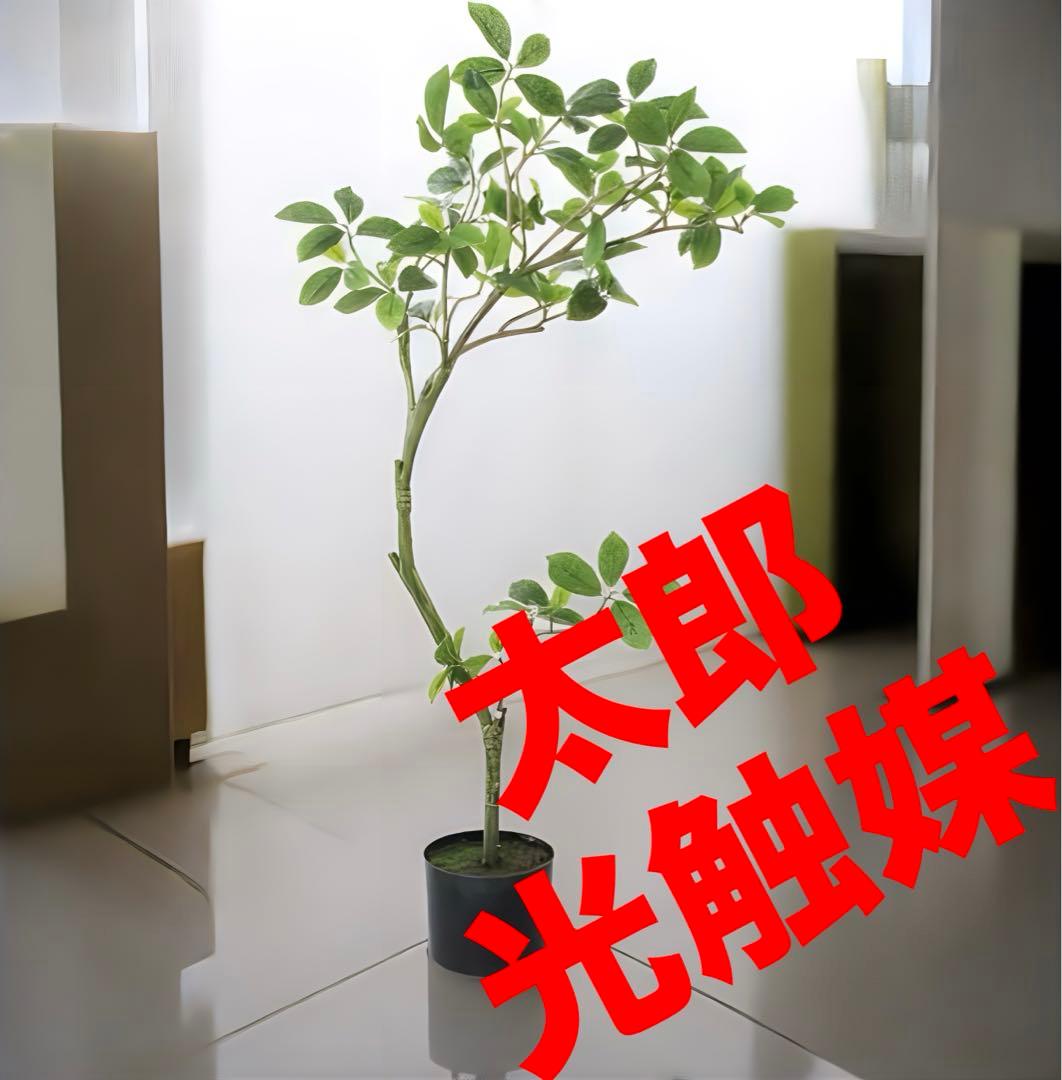 光触媒　人工観葉植物　ウォールグリーン　フェイクグリーン　ガジュマル110