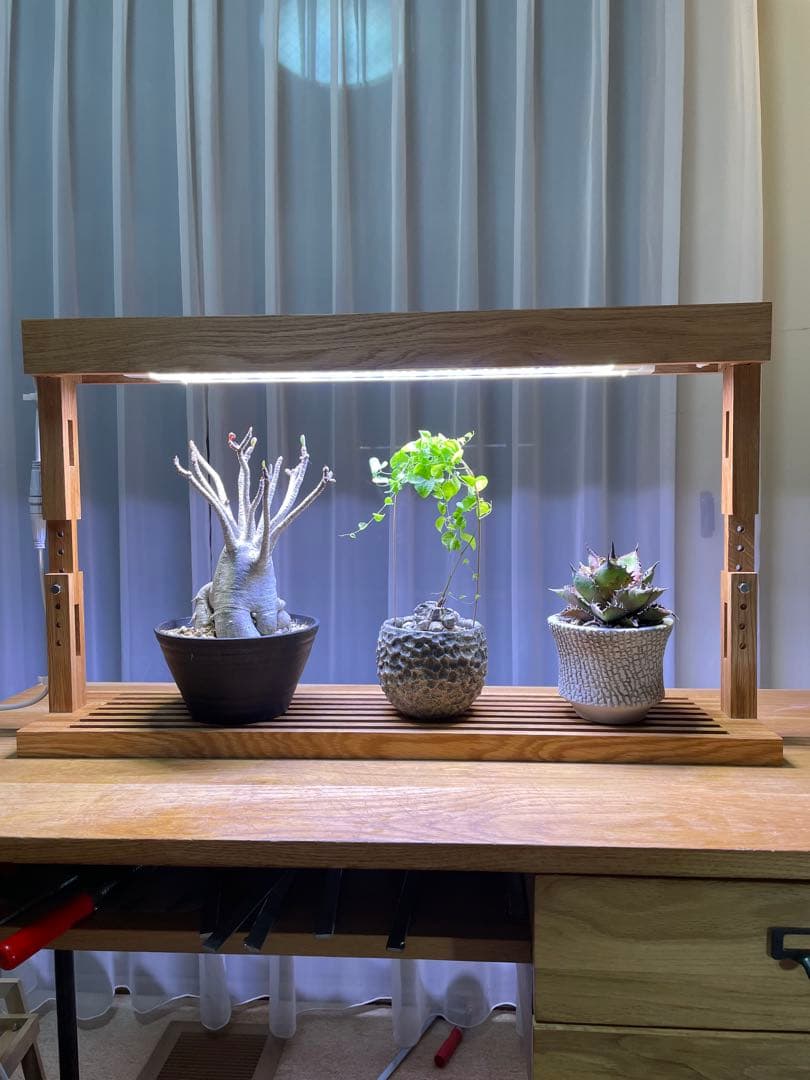新作！植物育成LEDライトスタンド［オーク］