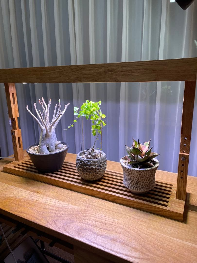 新作！植物育成LEDライトスタンド［オーク］