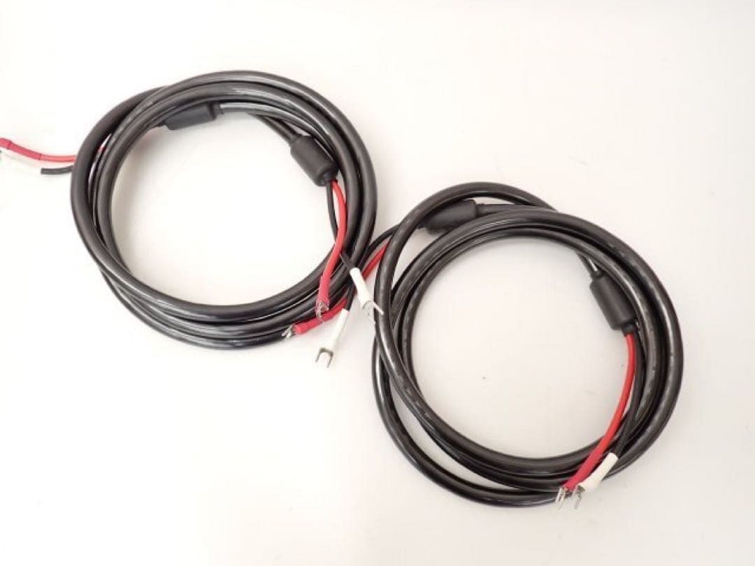 TIGLON ティグロン スピーカー　 MSS-DF100SP 2.5m ペア