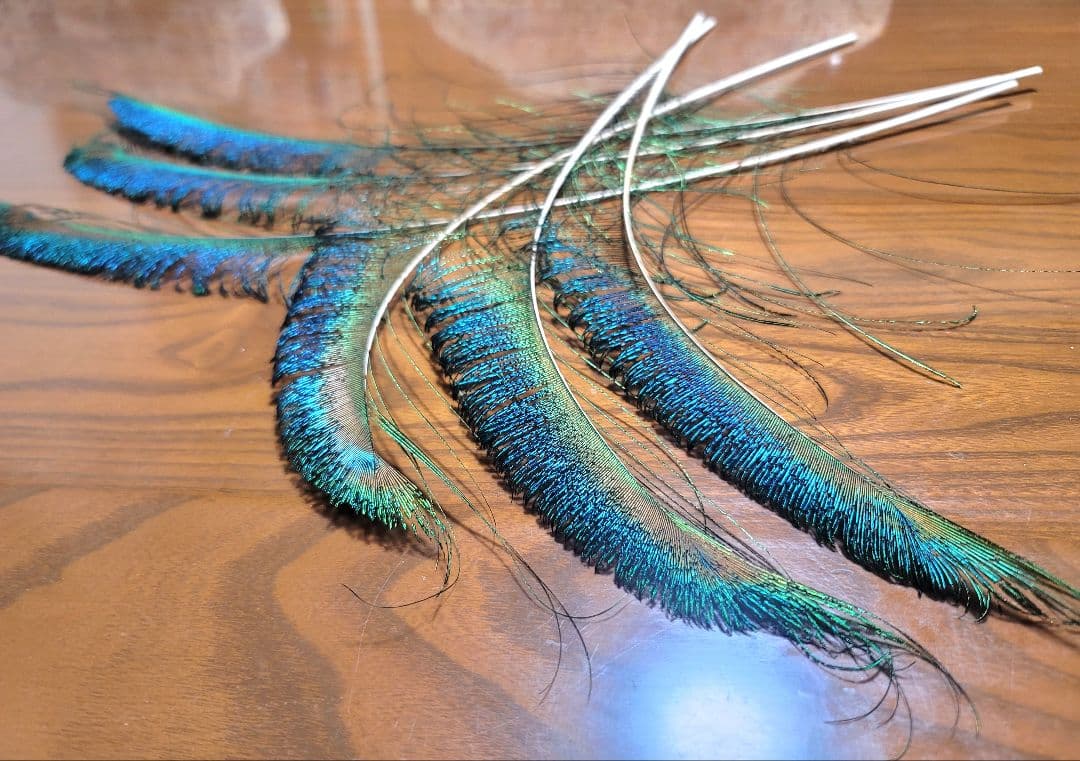 孔雀の羽　約70cmピーコックアイ＋約60cmソード　32本セット　鳥の羽根
