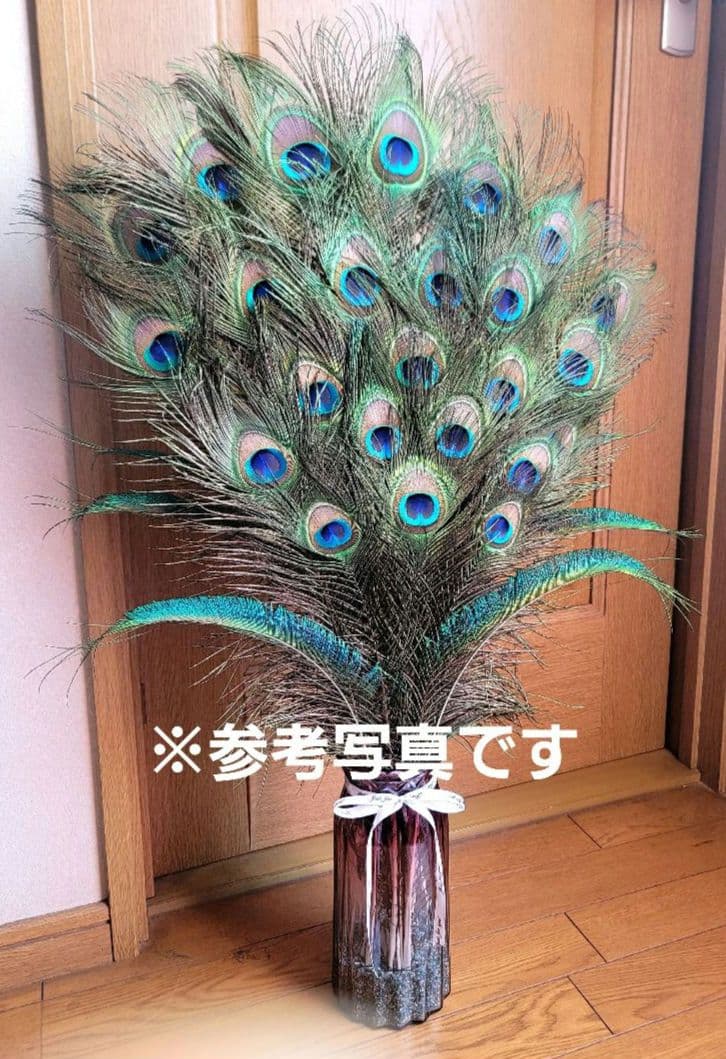 孔雀の羽　約70cmピーコックアイ＋約60cmソード　32本セット　鳥の羽根
